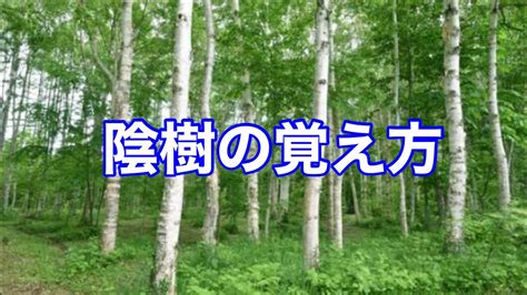 陽樹 種類|陰樹の特徴と陽樹の特徴 違いも解説 – 庭師の独り言